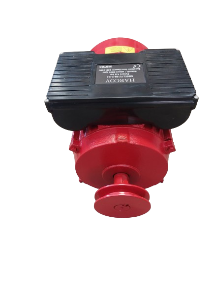 Motor electric, 4.0 kw, 3000 RPM, 220-250 V