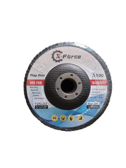 Set 10 discuri lamelare albastre, 125 mm Graulatie 100