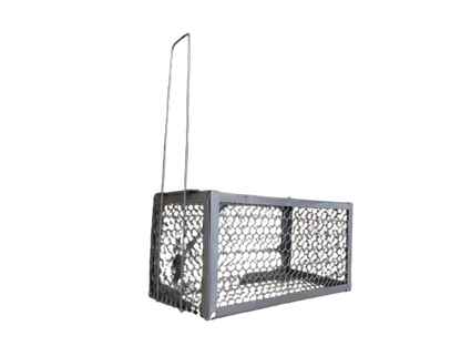 Capcana metalica pentru soareci, rozatoare, taratoare, sobolani, 235 x 115 x 115 mm